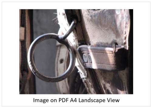`Equine Tack: Horse Mouth Bit` Original Digital Download Stock Photo
