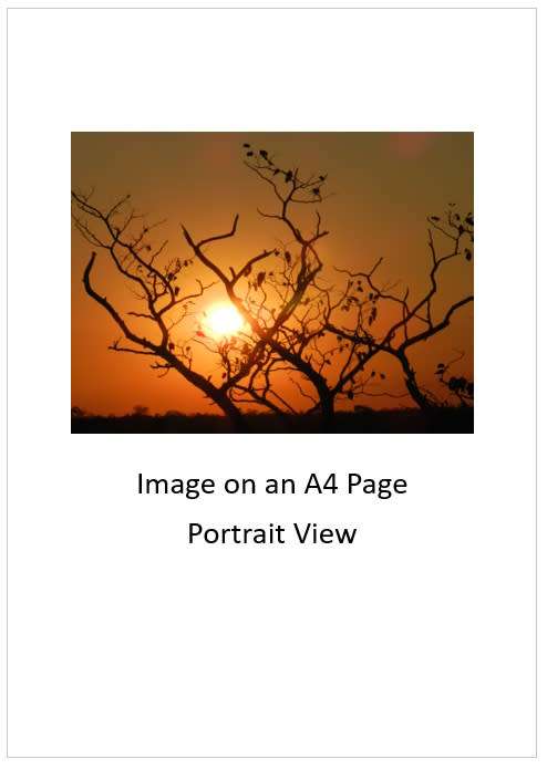 `Bushveld Sunset KNP` Original Digital Download Stock Photo