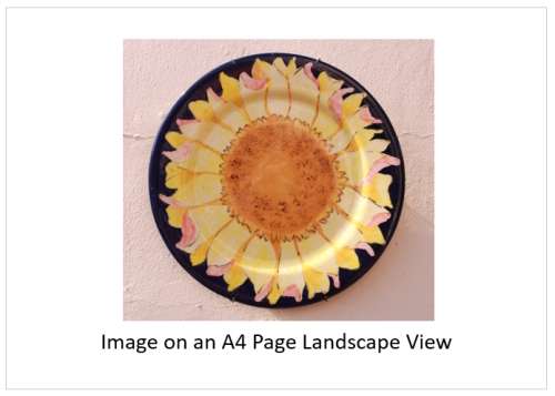 `Sunflower Plate On Wall` Original Digital Download Stock Photo