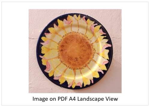 `Sunflower Plate On Wall` Original Digital Download Stock Photo