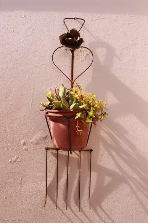`Pot Plant In Rustic Ornament` Original Digital Download Stock Photo