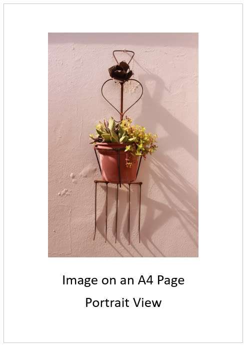 `Pot Plant In Rustic Ornament` Original Digital Download Stock Photo