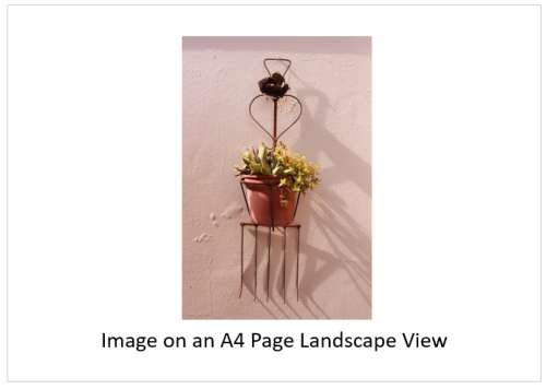 `Pot Plant In Rustic Ornament` Original Digital Download Stock Photo