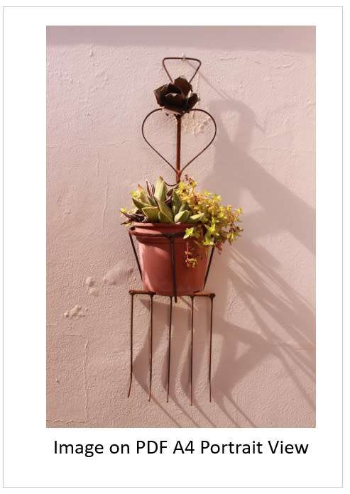 `Pot Plant In Rustic Ornament` Original Digital Download Stock Photo