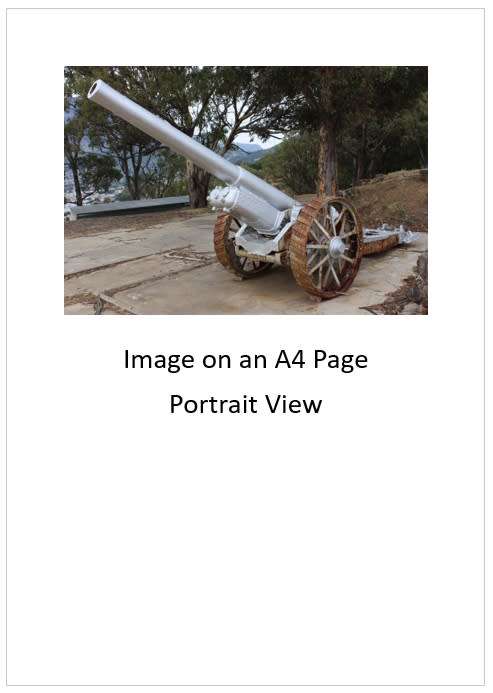 `Vintage Canon Signal Hill Cape Town`  Original Digital Download Stock Photo