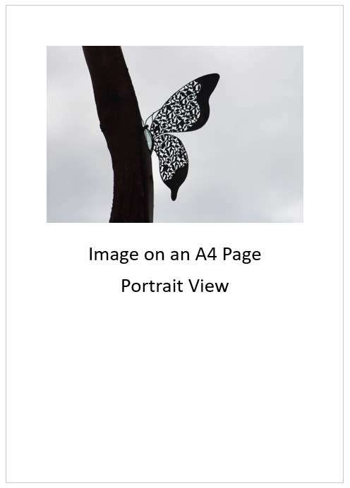 `Butterfly Sculpture in Profile` Original Digital Download Stock Photo