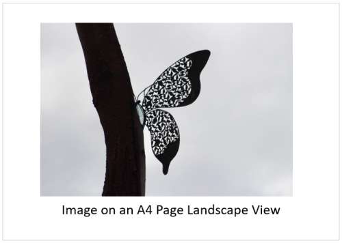 `Butterfly Sculpture in Profile` Original Digital Download Stock Photo