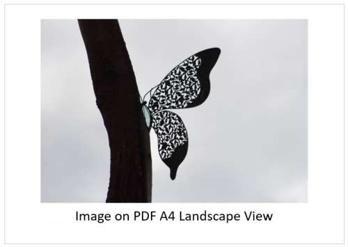 `Butterfly Sculpture in Profile` Original Digital Download Stock Photo
