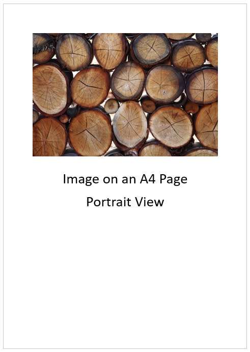 `Stacked Woodpile` Original Digital Download Stock Photo