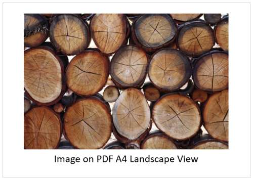 `Stacked Woodpile` Original Digital Download Stock Photo