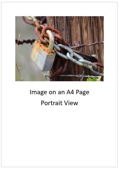 `Security: Padlock and Chain` Original Digital Download Stock Photo