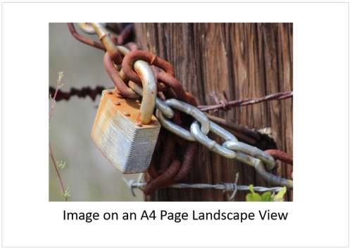 `Security: Padlock and Chain` Original Digital Download Stock Photo