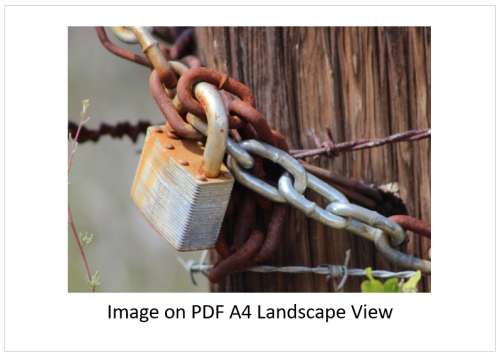 `Security: Padlock and Chain` Original Digital Download Stock Photo