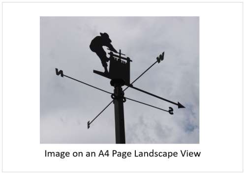 `Pressing The Grapes Weathervane` Original Digital Download Stock Photo