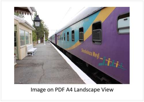 `Transport: Shosholoza Meyl At The Station` Original Digital Download Stock Photo