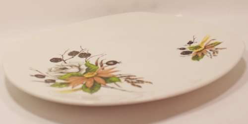 Midwinter Stylecraft Fashion Shape `Countryside` Porcelain Breakfast/Salad Plate.