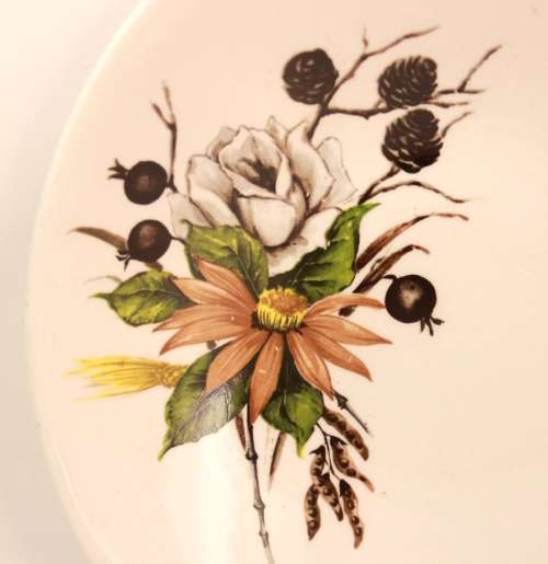 Midwinter Stylecraft Fashion Shape `Countryside` Gravy Boat and Saucer