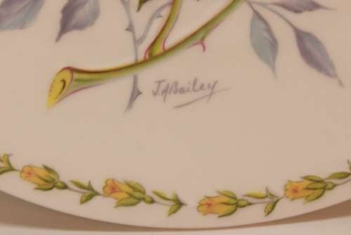 Vintage Crown Staffordshire Plaque First Edition `Peace Rose` JA Bailey Fine Bone China Plate.