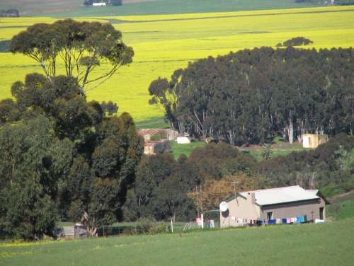 `Farming: Overberg Farm Scene` Original Digital Download Stock Photo