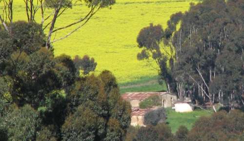 `Farming: Overberg Farm Scene` Original Digital Download Stock Photo