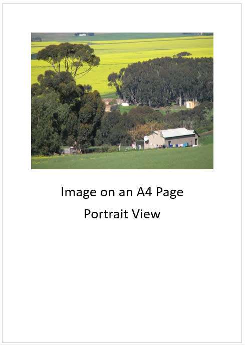 `Farming: Overberg Farm Scene` Original Digital Download Stock Photo