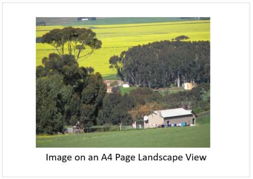 `Farming: Overberg Farm Scene` Original Digital Download Stock Photo