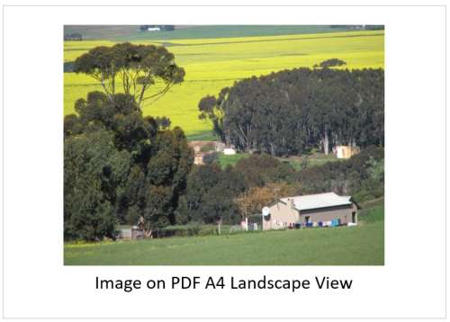 `Farming: Overberg Farm Scene` Original Digital Download Stock Photo