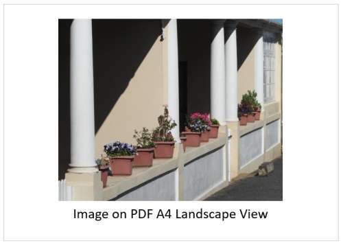 `Potplants On The Stoep` Original Digital Download Stock Photo