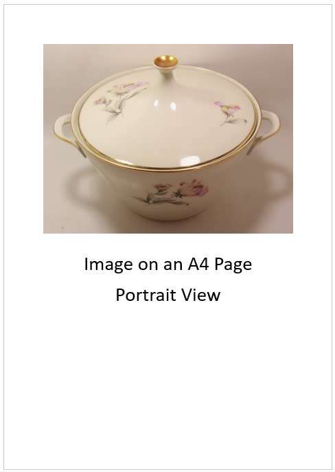 `Alka Kunst Tureen` Original Digital Download Stock Photo