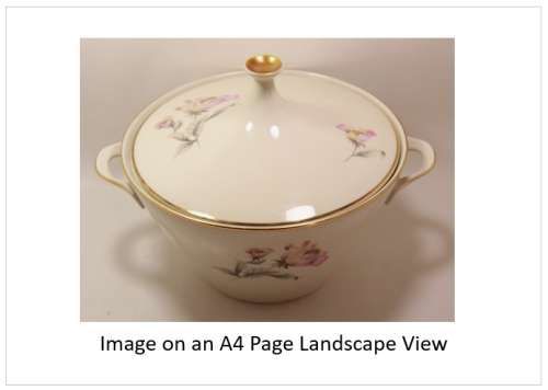 `Alka Kunst Tureen` Original Digital Download Stock Photo
