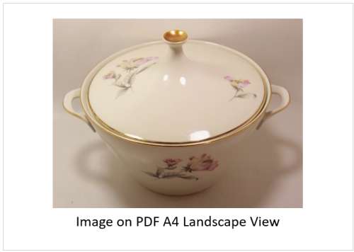 `Alka Kunst Tureen` Original Digital Download Stock Photo