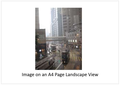 `Rainy Day Hong Kong, Trams and Buses on Des Voeux Road` Original Digital Download Stock Photo