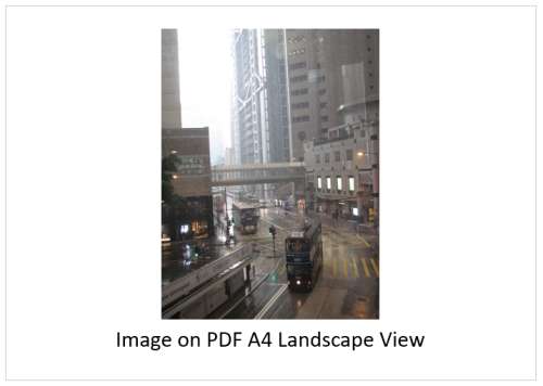 `Rainy Day Hong Kong, Trams and Buses on Des Voeux Road` Original Digital Download Stock Photo