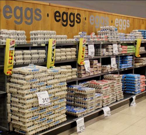 `Eggs On Display` Original Digital Download Stock Photo