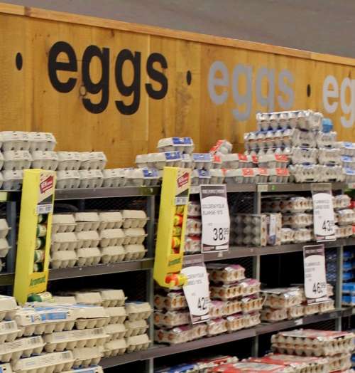`Eggs On Display` Original Digital Download Stock Photo