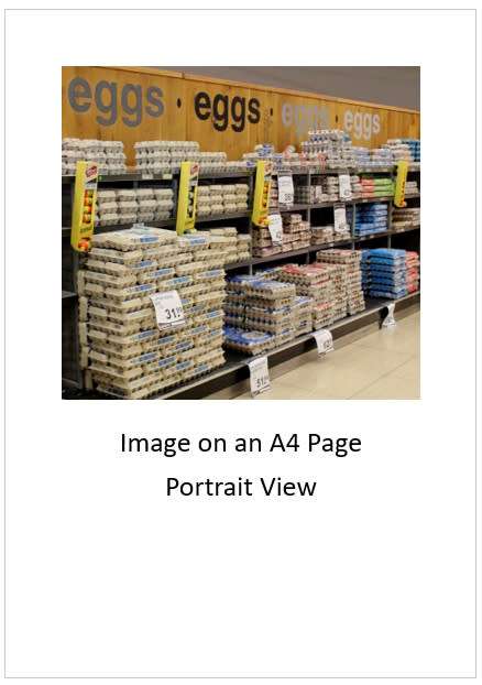 `Eggs On Display` Original Digital Download Stock Photo