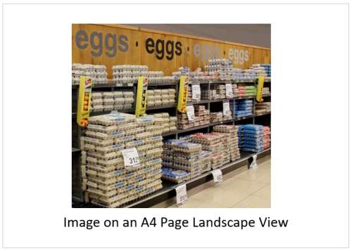 `Eggs On Display` Original Digital Download Stock Photo