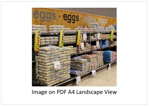 `Eggs On Display` Original Digital Download Stock Photo