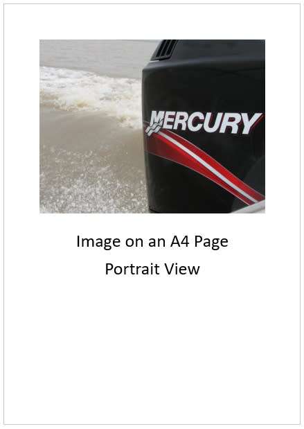`Mercury Outboard Motor Badge` Original Digital Download Stock Photo