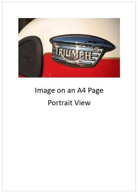 `Triumph Badging On Triumph Scrambler 900 Fuel Tank `Original Digital Download Stock Photo