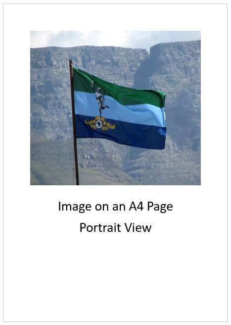 `Signals Corps Flag` Original Digital Download Stock Photo