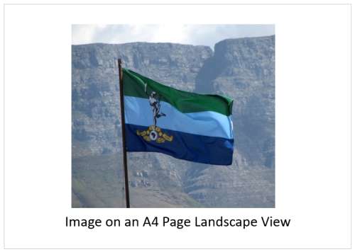 `Signals Corps Flag` Original Digital Download Stock Photo