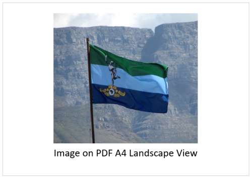 `Signals Corps Flag` Original Digital Download Stock Photo