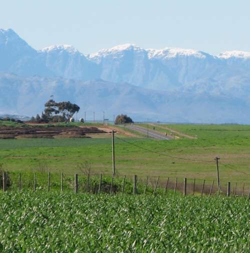 `Snow On The Witzenerg Mountains & Winter Crops ` Original Digital Download Stock Photo
