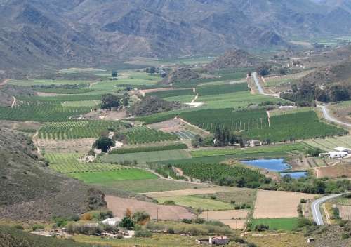 `Koo Valley Orchards` Original Digital Download Stock Photo
