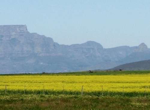 `Table Mountain, Cape Town` Original Digital Download Stock Photo