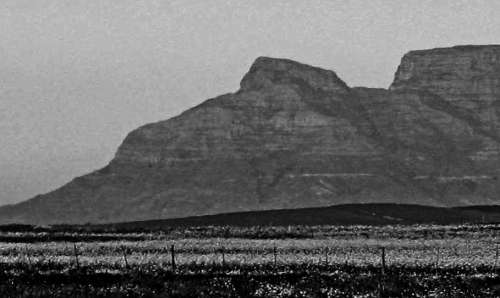 `Table Mountain Mono Old School Image` Original Digital Download Stock Photo