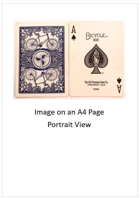 `Playing Cards: Ace Of Spades Bicycle 808 US Playing Card Co` Original Digital Download Stock Photo