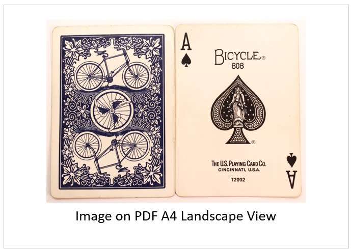 `Playing Cards: Ace Of Spades Bicycle 808 US Playing Card Co` Original Digital Download Stock Photo