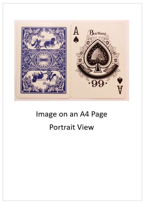 `Playing Cards: Bin Wang Ace of Spades` Original Digital Download Stock Photo